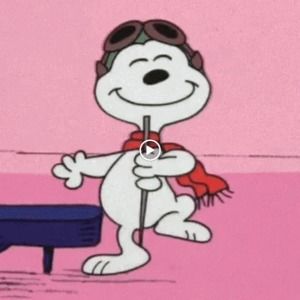 Meet your Posher, Briana